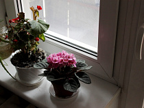 В Калининграде лжесын хозяйки квартиры нагрел съемщицу на 14 тысяч рублей