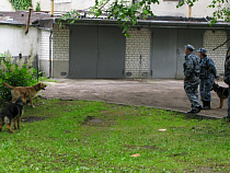 Калининградская полиция закупает шесть немецких овчарок