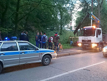 Названы фамилии калининградцев, получивших реальный срок за злостную нетрезвую езду (таблица)