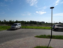 Фирма Игоря Чушкина вырубит массив деревьев на востоке Калининграда