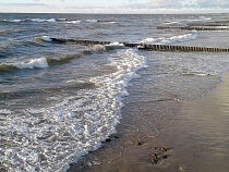 На Куршской косе собираются установить волнорезы