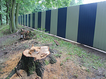 У объекта ЧМ-2018 в Калининграде вырубили деревья