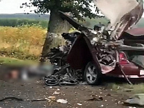 Страшная трагедия под Янтарным: машина врезалась в дерево (видео)