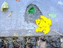 На Куршской косе турист вляпался в историю с люксовой велодорожкой