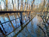 На Куршской косе перекрыты несколько проходов к морю