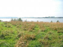 Калининградку оштрафовали на 20 тысяч рублей за необработку сельхозземель