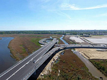 Восточная эстакада в Калининграде сгубила полтонны рыбы