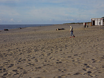 На пляже в Янтарном ограбили дайвера