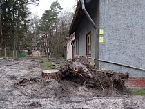 В Светлогорске уже вырубили деревья под строительство отеля