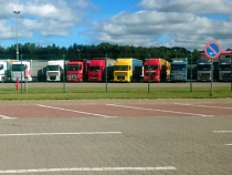 В Калининградскую область ввезли 60 тонн заражённых бобов