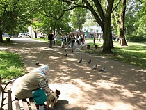 Скверы Калининградской области смогут украсить заключённые