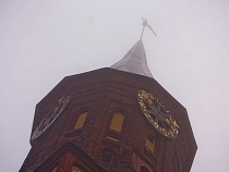 Цуканов: местом работы Ведерникова определён Калининград