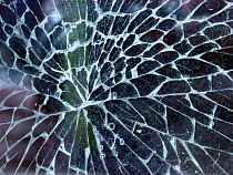 ДТП в Правдинске: автомобиль съехал в кювет и опрокинулся