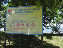 Расторгнут договор аренды калининградских лесов со шведской компанией*