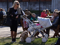 Еда, ЖКХ, дети: калининградцы назвали свои основные статьи расходов