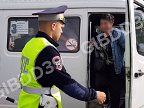 Инспектор ГИБДД уличил водителя маршрутки в проблеме с ремнями безопасности (видео)