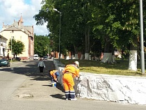 В Балтийске к Дню ВМФ косят и белят  