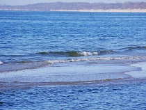 Где сейчас в Калининградской области теплее всего морская вода