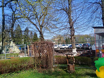 В Калининграде закрыли детсад, где обрушился забор