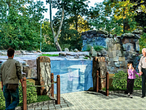  В Калининградском зоопарке медведи и капибара улучшат жилищные условия 