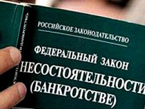 Призрак банкротства витает над крупнейшим инвестором Курской области