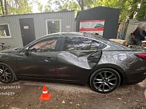 В Зеленоградске дерево наказало автомобиль за остановку в парке