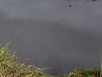 Аудитор Счётной палаты: мы проконтролируем расходы на очистные в Гурьевске