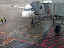 В Новый год самолёты будут возить туристов в Калининград как конвейер