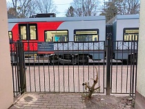 Назван день бесплатной проверки здоровья в «Ласточке» из Калининграда