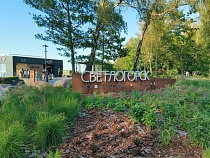 Шеф Светлогорска снова вспомнил про девушку с венком