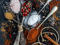 Фирма из Швейцарии получила площадку в Храброво 