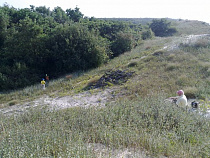 Обеспечение электричеством трёх посёлков на Куршской косе может обойтись в миллиард рублей