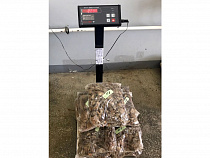 Пограничники задержали 22 кг янтаря на пути в Польшу