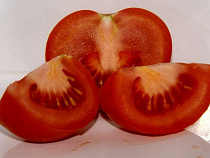 В Россию разрешили ввозить томаты с пяти турецких предприятий