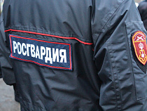 Угонщики «Мерседеса» пытались скрыться от росгвардейцев в лесу