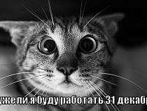 31 декабря предложили сделать выходным днем