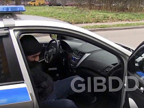 Соседка сдала полиции людей в масках (видео) 