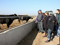 «Калининградская мясная компания» запустила образовательную программу для будущих ветеринарных врачей