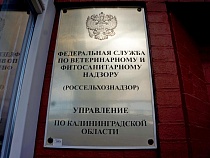 Консервный завод в Гвардейске оштрафован за антисанитарию