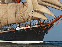 Ректор КТГУ объяснил, почему барк «Седов» пока не может зайти в порт Калининграда