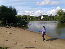 Балтрайон снова всех порвал