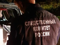 Трагедия на Зелёной: именинник и девушка выпали из окна и разбились