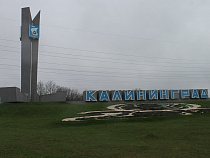 Немецких детей вернули из Калининграда в ФРГ