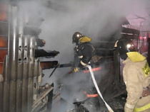 В Калининграде огонь уничтожил забор в садовом обществе