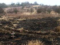 Поджигатели полей нарушили мелиорацию в районе Озёрска