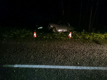 После падения дерева на дорогу ранен водитель легкового «Меседеса»