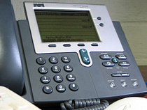 В Калининградской области заработала «горячая линия» по приему в первый класс