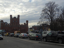 Ради транспорта в Калининграде, на Гагарина, вырубят 209 деревьев