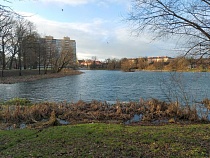 Под Новый год вандалы разгромили туалет на Летнем озере в Калининграде