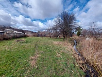 В образцах почв из Зеленоградского района обнаружили мышьяк 